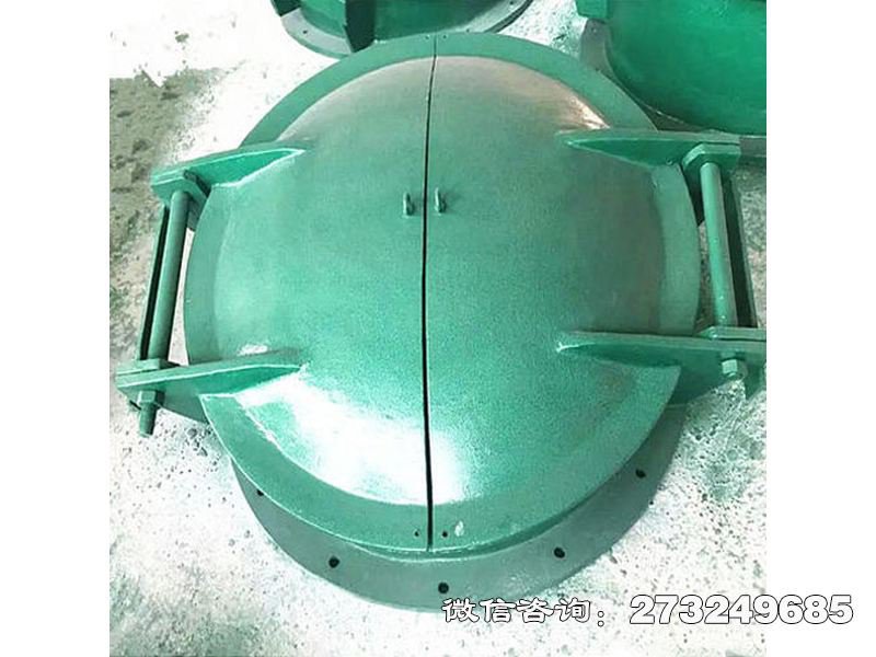 双开式玻璃钢拍门