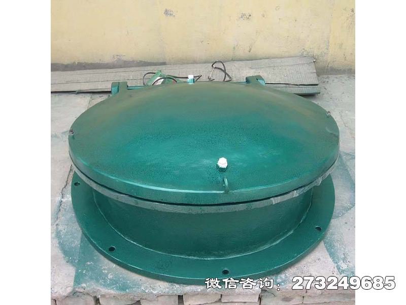 玻璃钢止水拍门