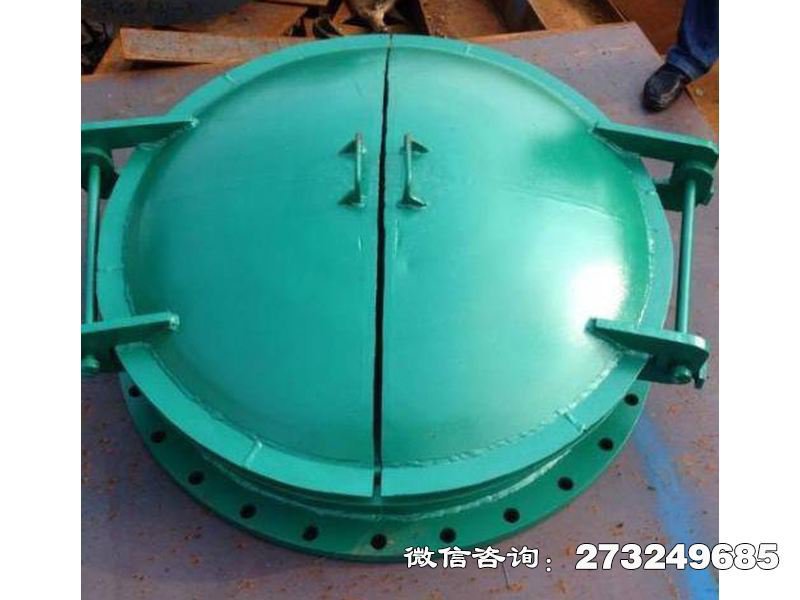 玻璃纤维增强塑料拍门 增强塑料 防腐蚀专用