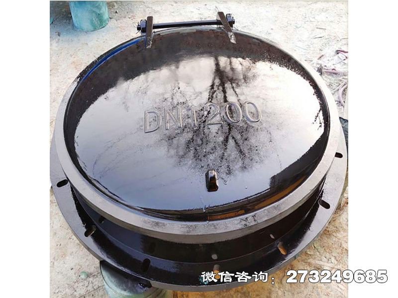 防倒灌玻璃钢拍门 防倒灌设计 污水管道专用