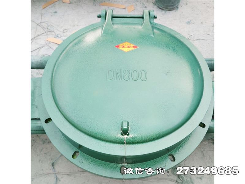 玻璃钢自动启闭拍门 自动启闭 污水管道专用