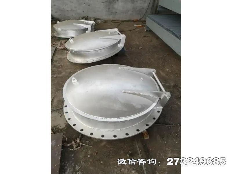 防止洪水倒灌不锈钢拍门 防倒灌设计 防洪专用