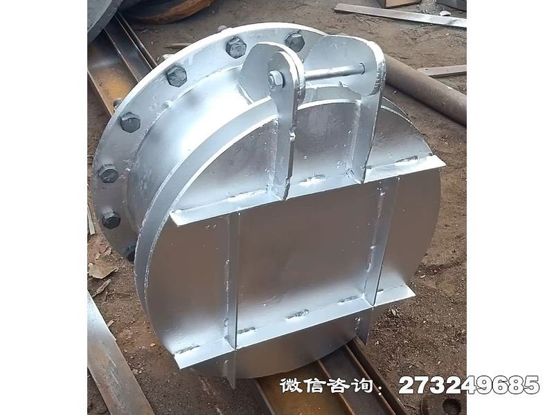 SS拍门 不锈钢材质 高腐蚀场景专用