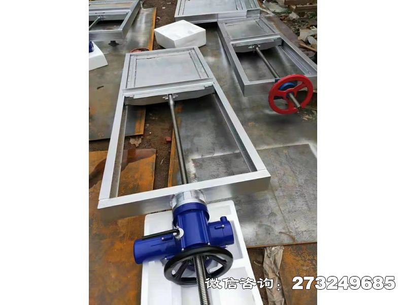 电动头不锈钢一体闸