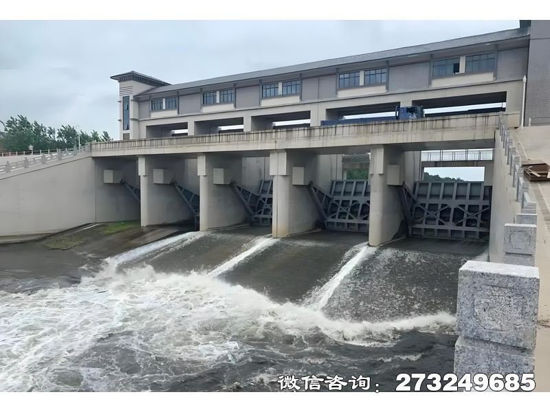 调蓄泵站闸门 泵站涵闸 调蓄泵站专用