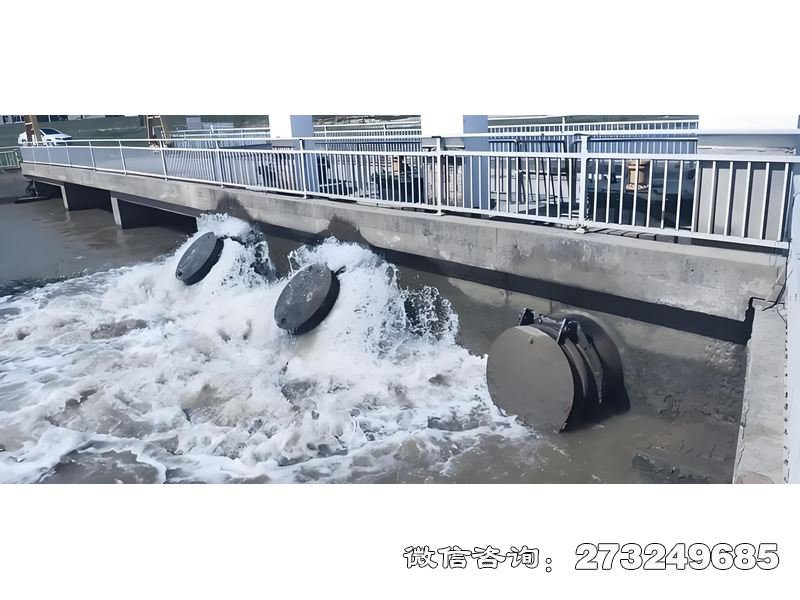 内河潮门拍门 内河防潮 潮汐控制