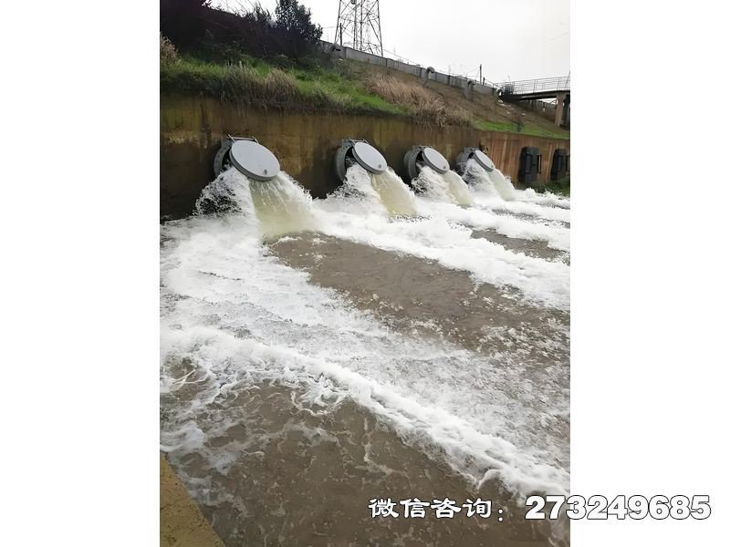 排水管网末端潮门拍门