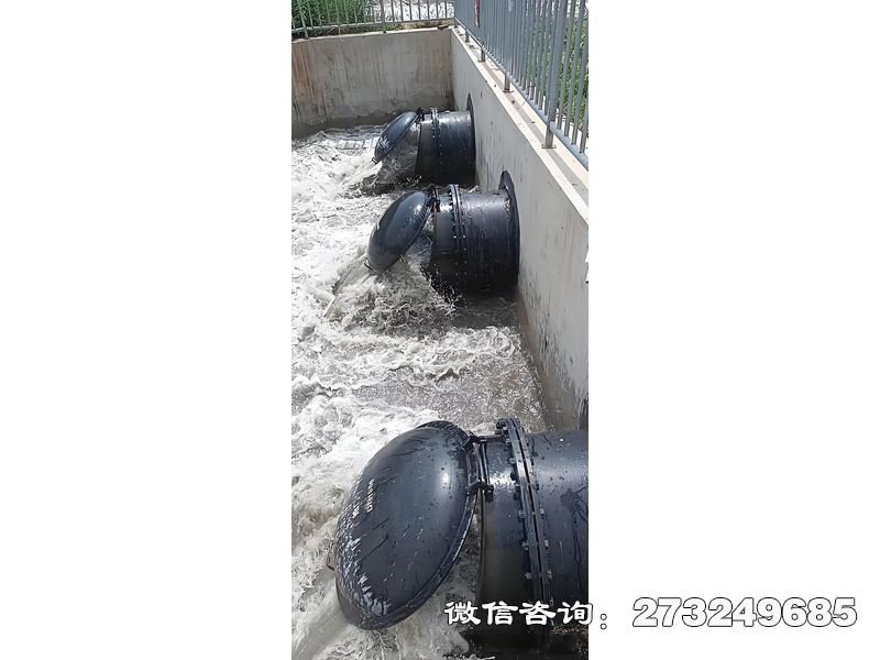 污水处理厂潮门拍门 污水处理厂防潮 潮汐防护