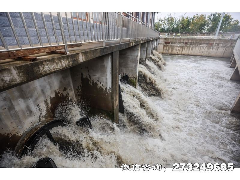水库溢洪道潮门拍门