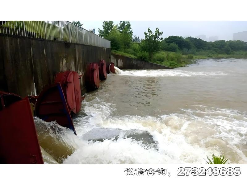 灌溉渠首潮门拍门 灌溉渠首防潮 潮汐防护