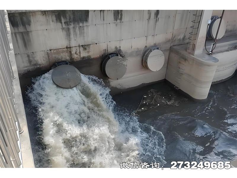 隧道排水口潮门拍门 隧道防潮 潮汐控制