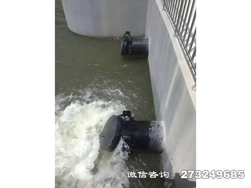 河道潮门拍门 河道防潮 潮汐防护