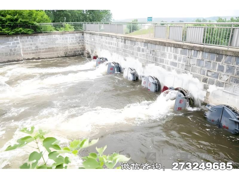 河道防洪堤排水潮门拍门