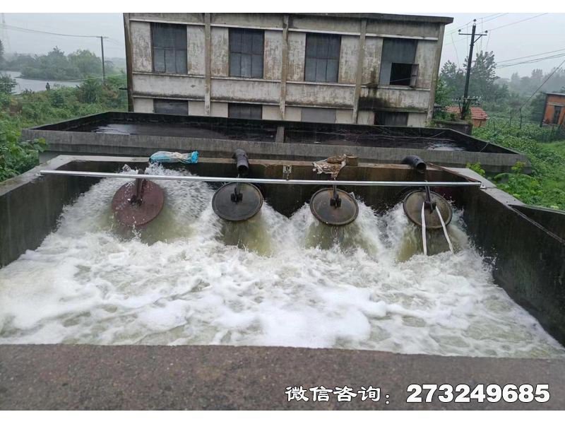 行洪区退水口潮门拍门 行洪区防潮 潮汐防护