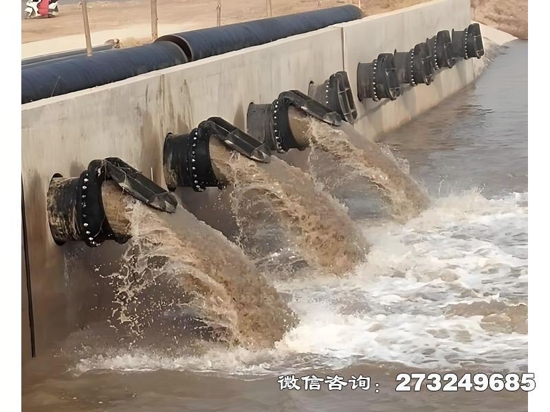 蓄滞洪区分洪闸潮门拍门 分洪闸防潮 潮汐控制