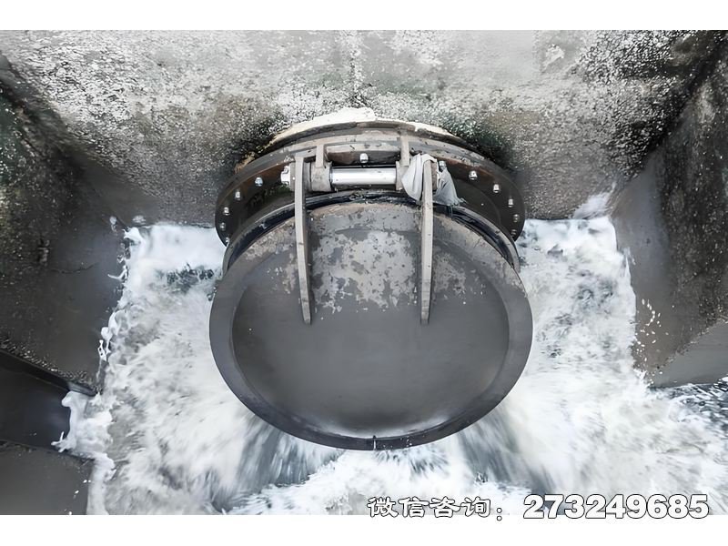 河道排水潮门拍门 河道排水防潮 潮汐防护