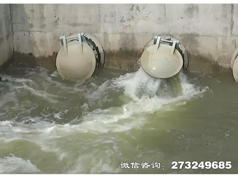 河道生态护岸排水潮门拍门 生态护岸防潮 潮汐控制
