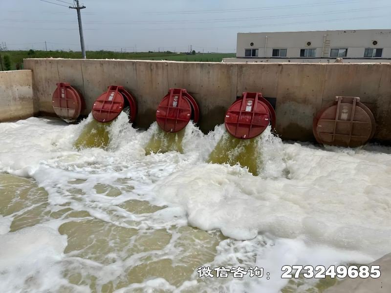 河口整治工程潮门拍门