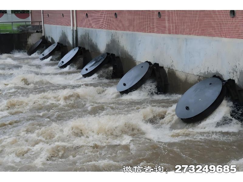 灌溉渠首水闸潮门拍门 灌溉渠首防潮 潮汐控制