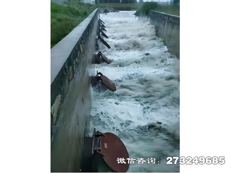 进出口潮门拍门 进出口防潮 潮汐防护