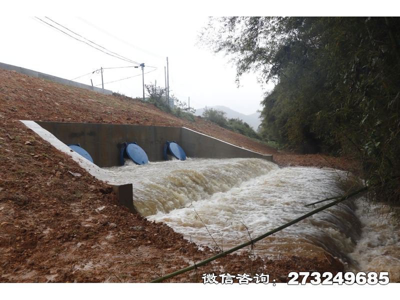 堤坝防潮拍门 堤坝防潮 潮汐控制