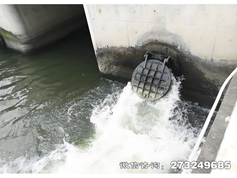 海洋防潮堤拍门 海洋防潮堤防潮 潮汐控制