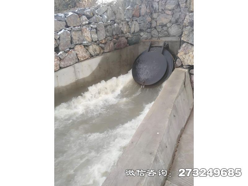 河口挡潮拍门 河口挡潮 潮汐防护