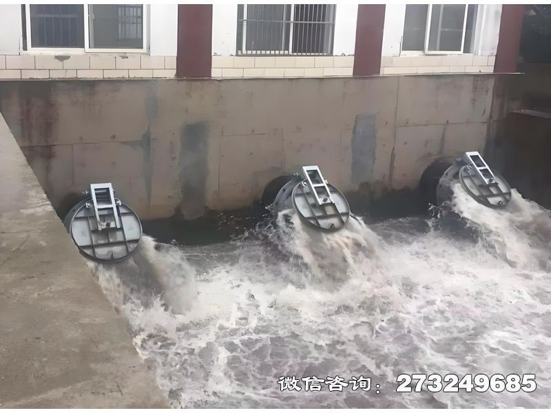 潮汐能管道拍门 潮汐能管道防潮 潮汐控制