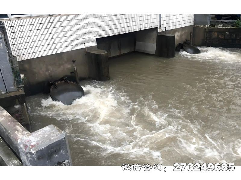 泵站潮门拍门 泵站防潮 潮汐防护
