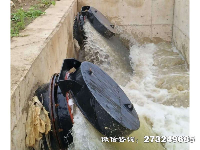 海水防倒灌拍门