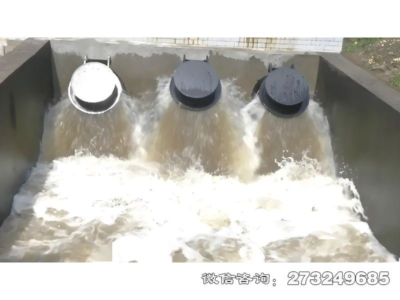 河口防潮拍门 河口防潮 潮汐控制