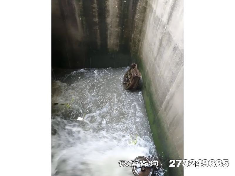 渠道涵管拍门 渠道涵管防潮 潮汐控制