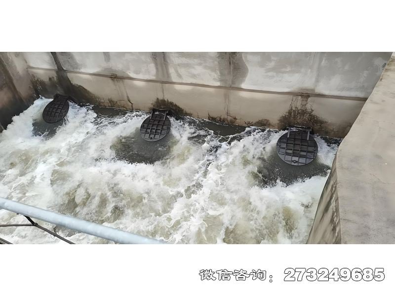 海水养殖排水拍门 海水养殖排水防潮 潮汐防护