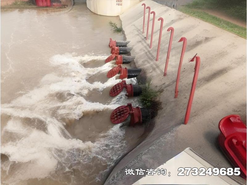 海水生态防潮拍门