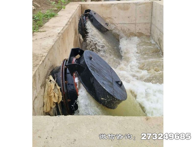水库潮门拍门 水库防潮 潮汐控制