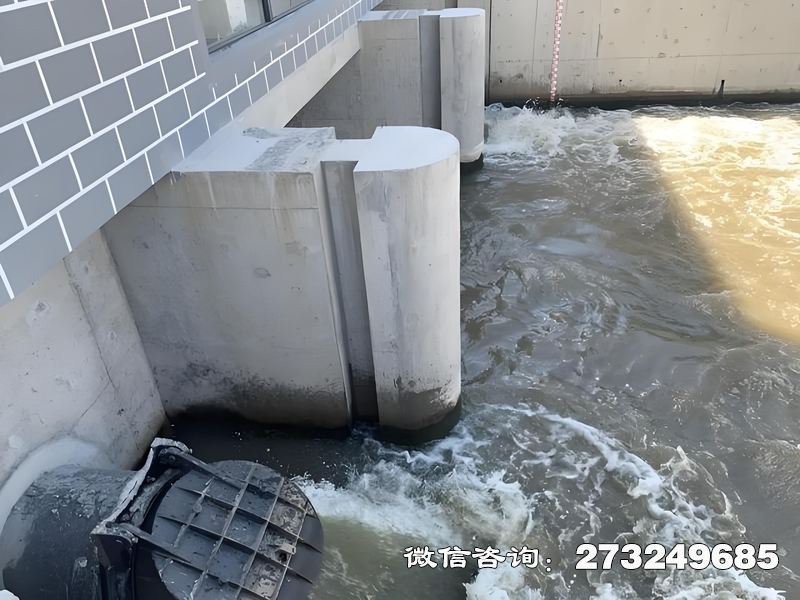 灌区潮门拍门 灌区防潮 潮汐控制