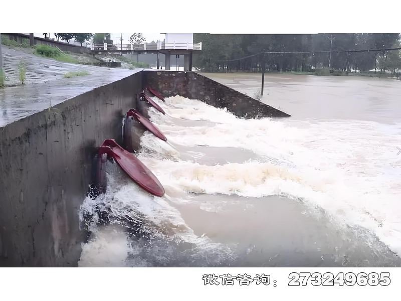 城市排水系统潮门拍门 城市防潮 潮汐防护