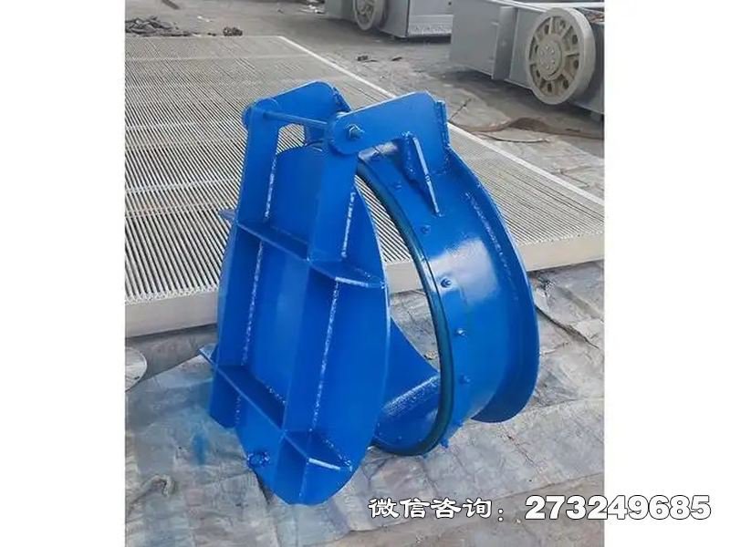 水库钢制防倒灌拍门