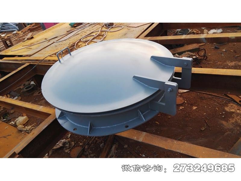 生态补水钢制拍门