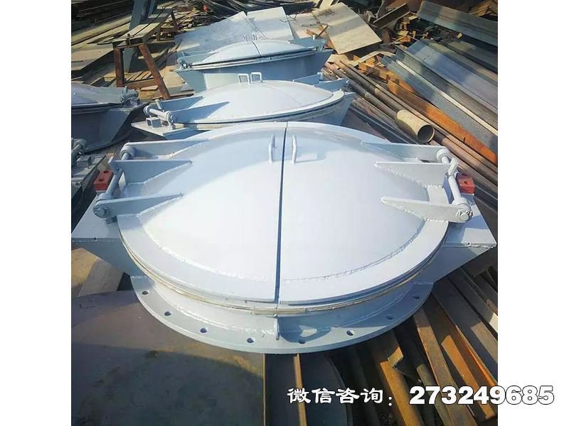 水务局钢制防洪拍门