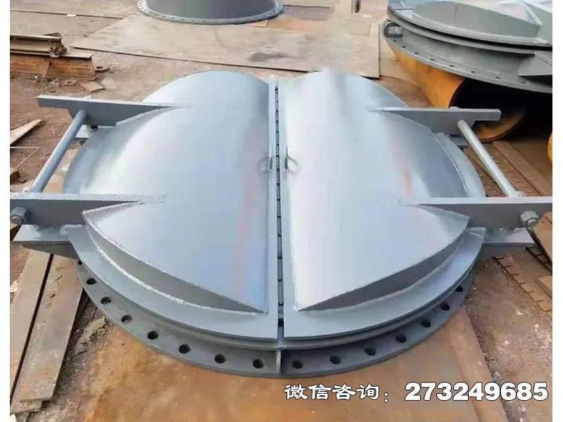 防潮钢制海堤拍门 海堤防潮 防倒灌