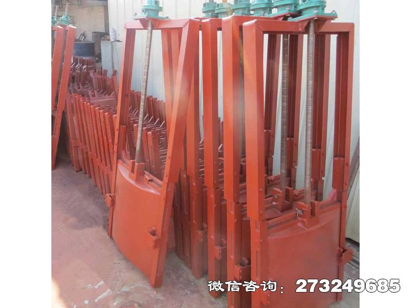 蓄滞洪区应急分洪门