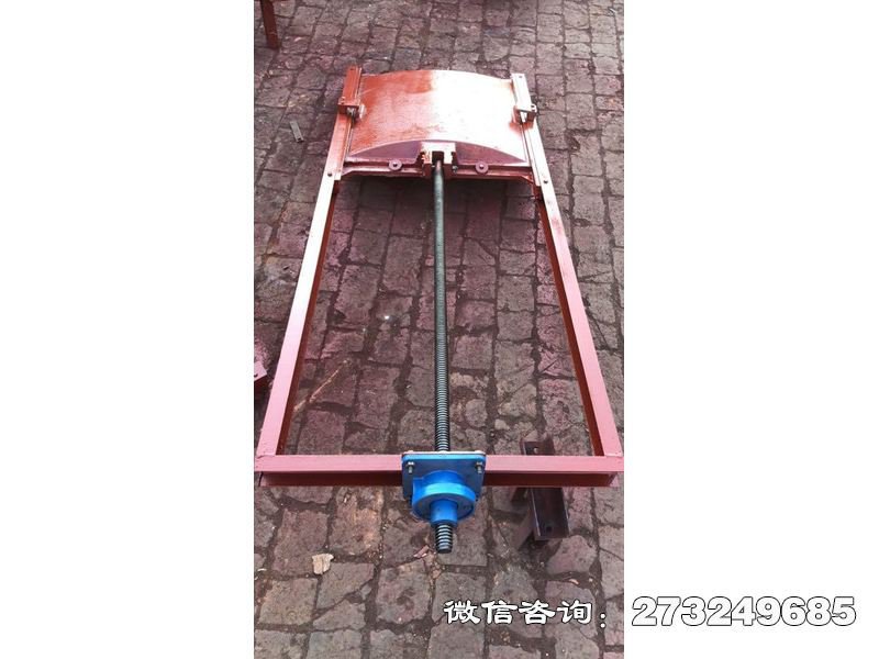 饮用水源保护机闸门 机闸一体