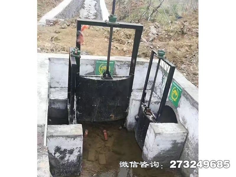 分水灌渠机闸一体闸门 机闸一体