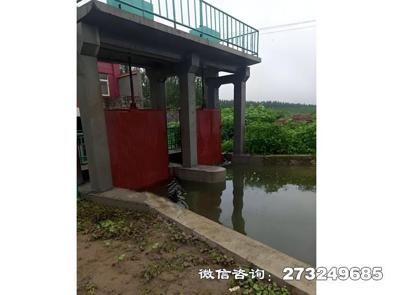 河滩防洪闸 渠道闸门