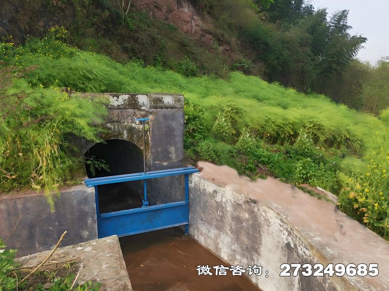 水渠排涝闸 渠道闸门
