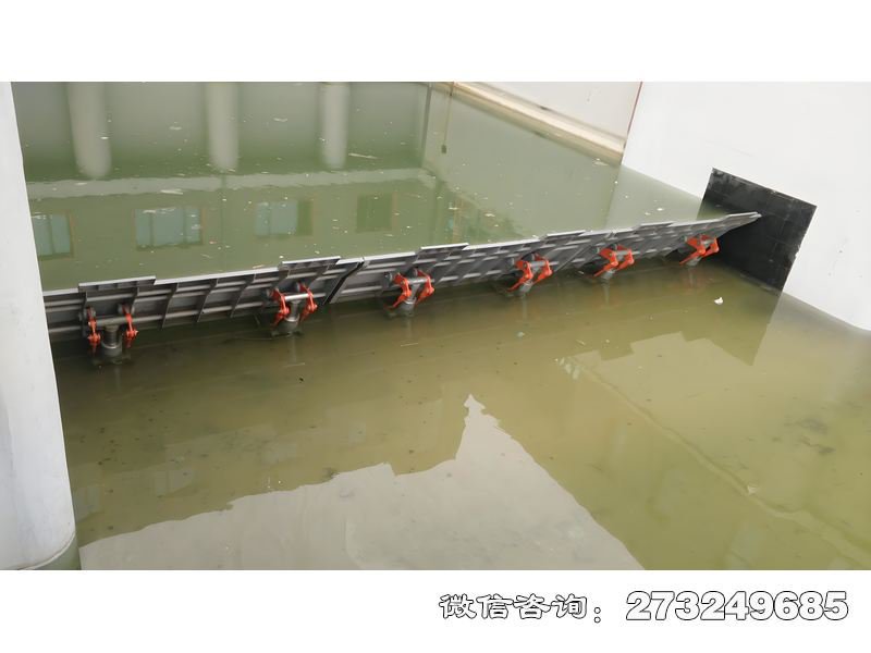 湖泊防洪安全坝