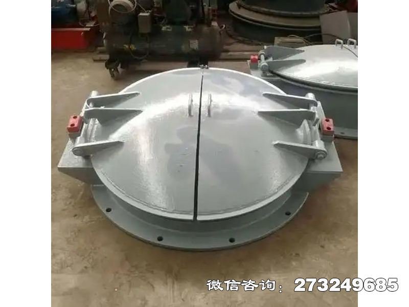 铸铁圆型导流拍门 铸铁拍门
