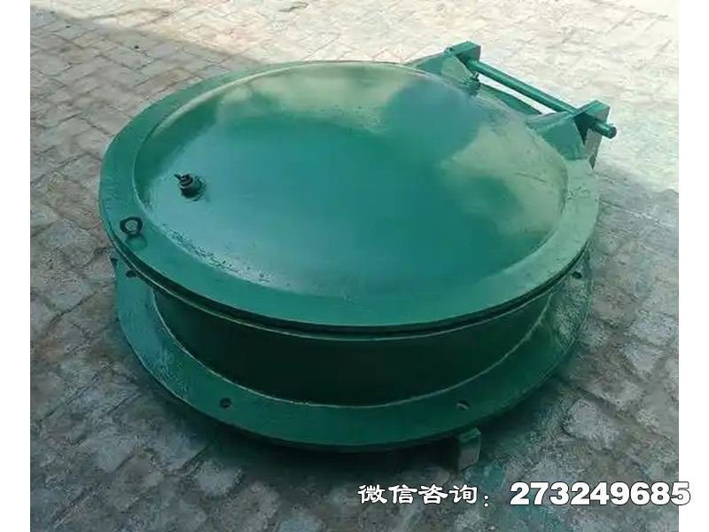 铸铁圆型一体化泵站拍门 铸铁拍门